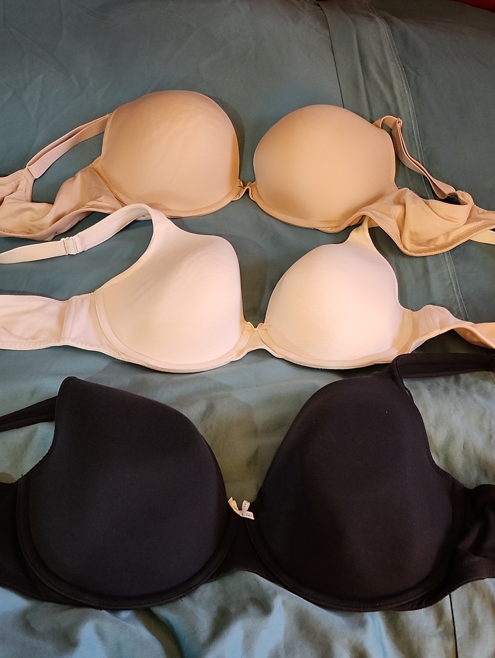 Cacique Smooth T-Shirt Bra Trio in Black, Nude & Cream